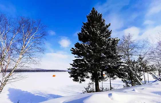 Pêche blanche Ferme-Neuves