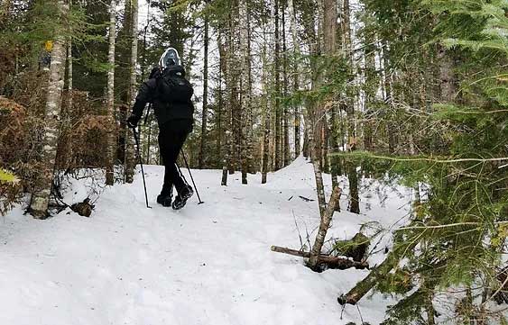 Activité Hivernale raquette Hautes-Laurentides